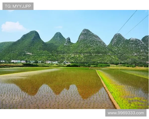 九游血战骰宝：不断更新的游戏内容带来持续的新鲜感和挑战